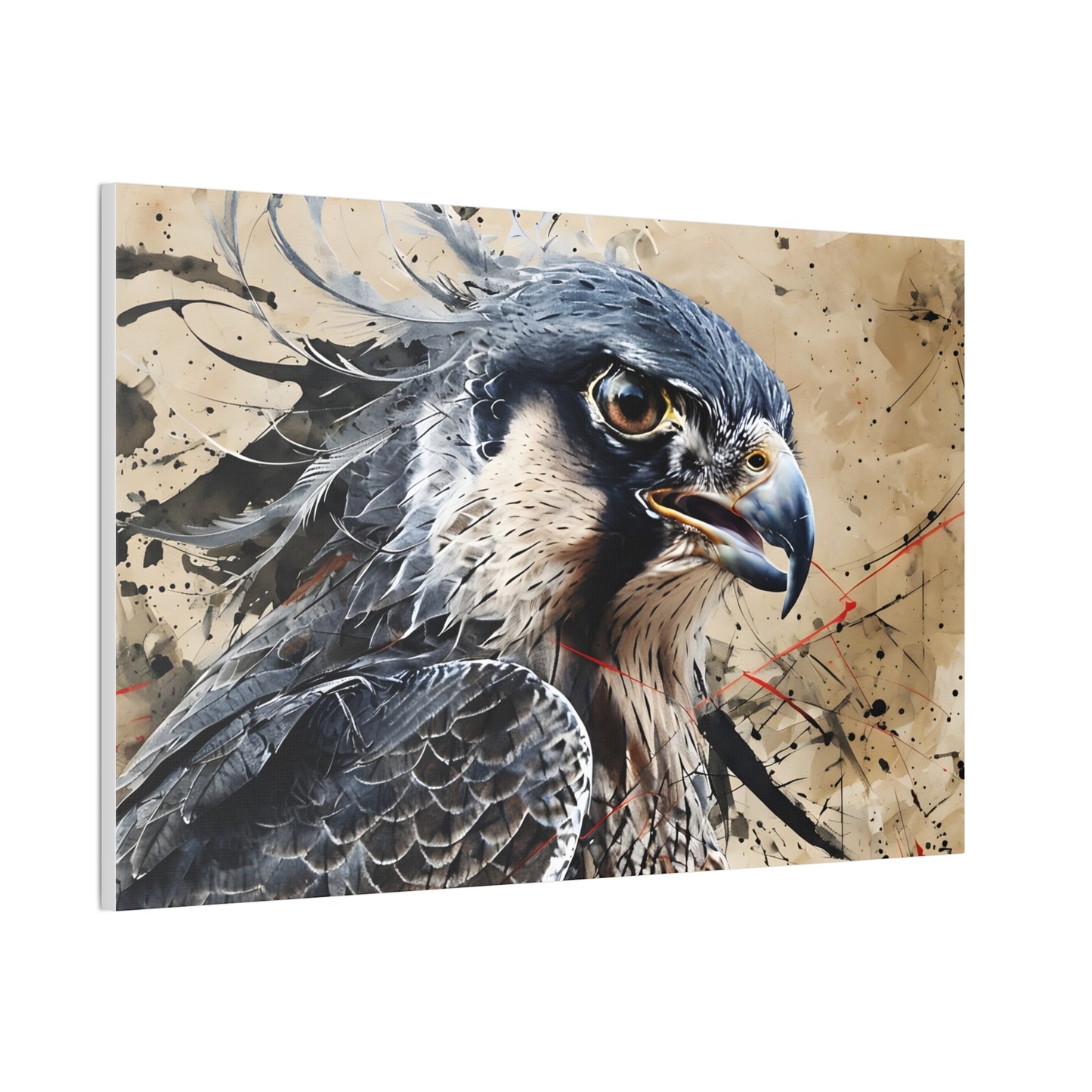 Canvas Stretched Wall Art - Falcon Peregrine